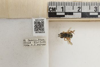 Media type: image;   Entomology 788253 Aspect: Labels